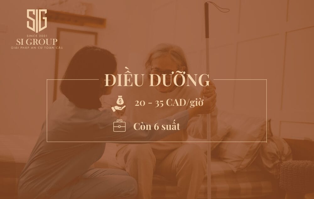 Điều dưỡng (Caregiver)