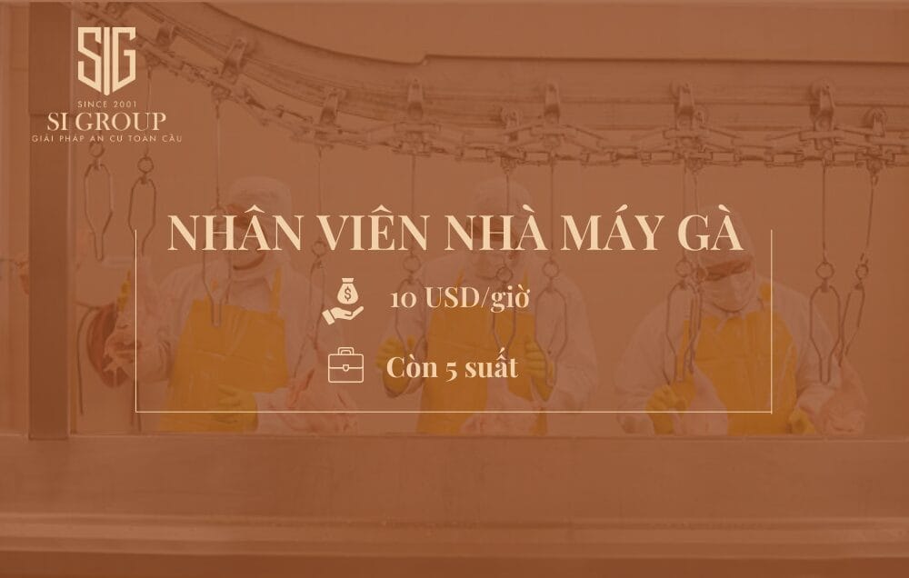 Nhân viên Chế biến Thịt gà