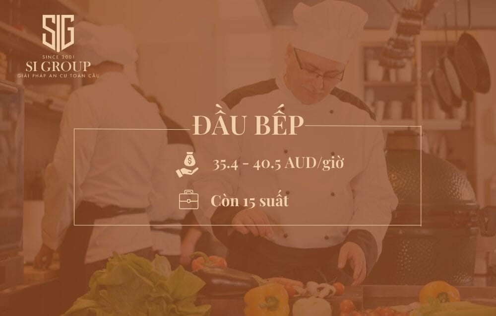 Đầu bếp nhà hàng (Chef)