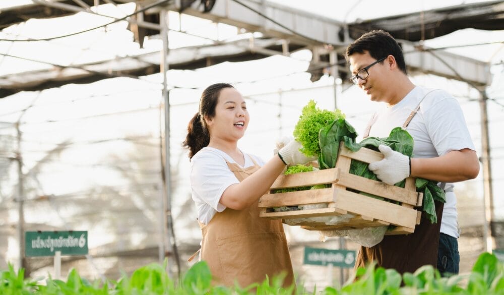 Nông nghiệp là ngành xương sống của tỉnh bang Saskatchewan, và để bù đắp lượng lao động thiếu hút, duy trì phát triển ngành kinh tế trọng điểm của tỉnh bang, Saskatchewan vừa công bố lộ trình định cư tỉnh bang diện Tài năng Nông nghiệp