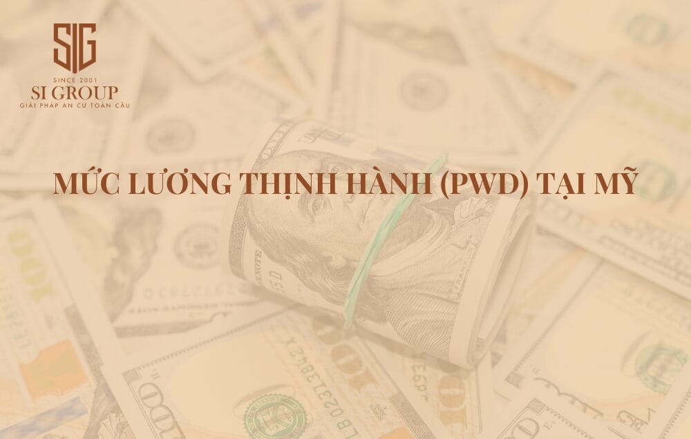 PWD là gì? Tìm hiểu về mức lương thịnh hành PWD tại Mỹ