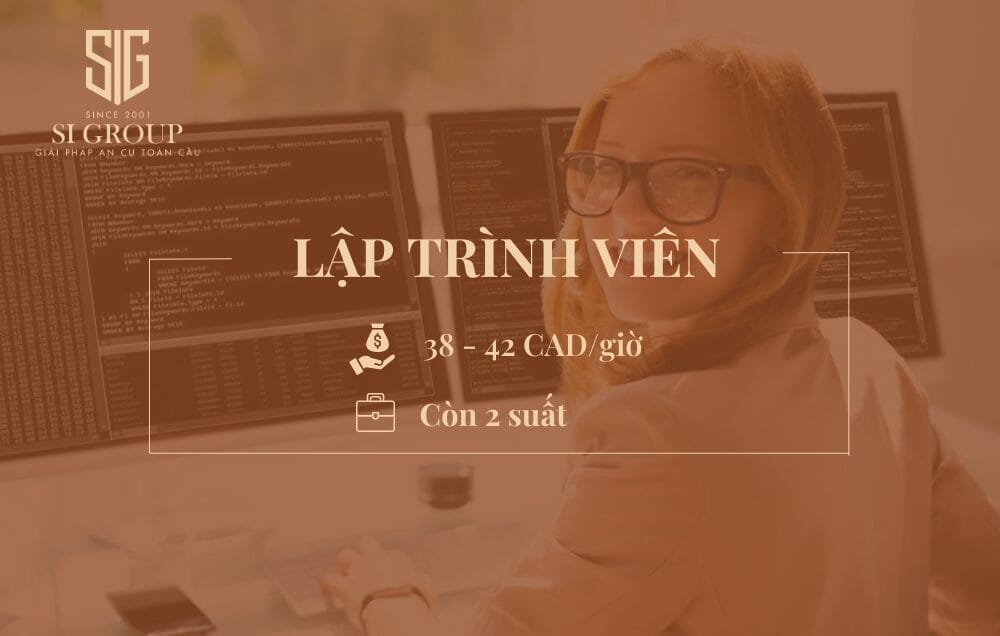 Lập trình viên (Web developer)