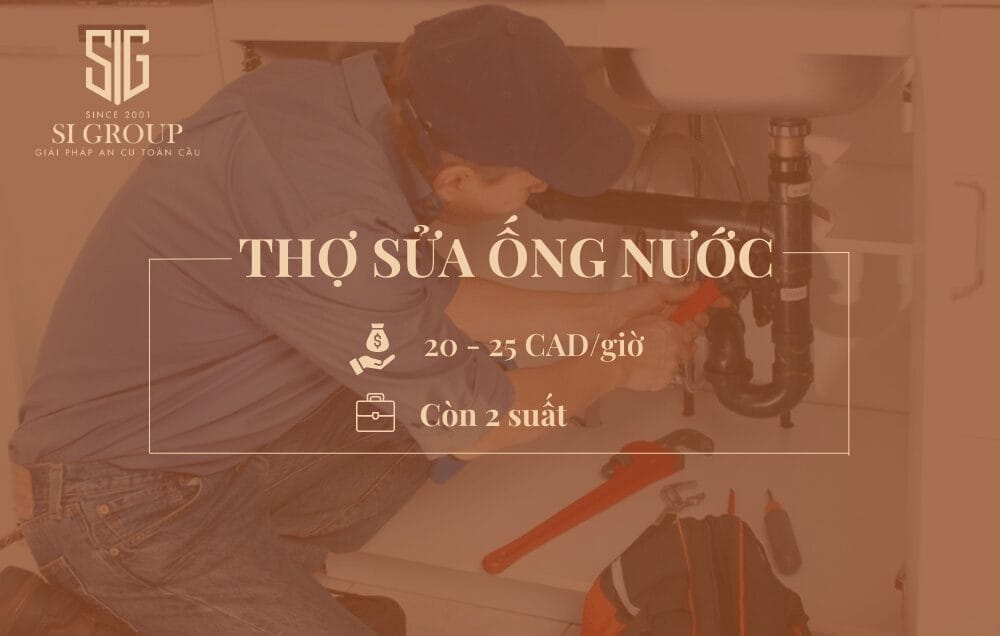 Thợ sửa ống nước (Plumber)