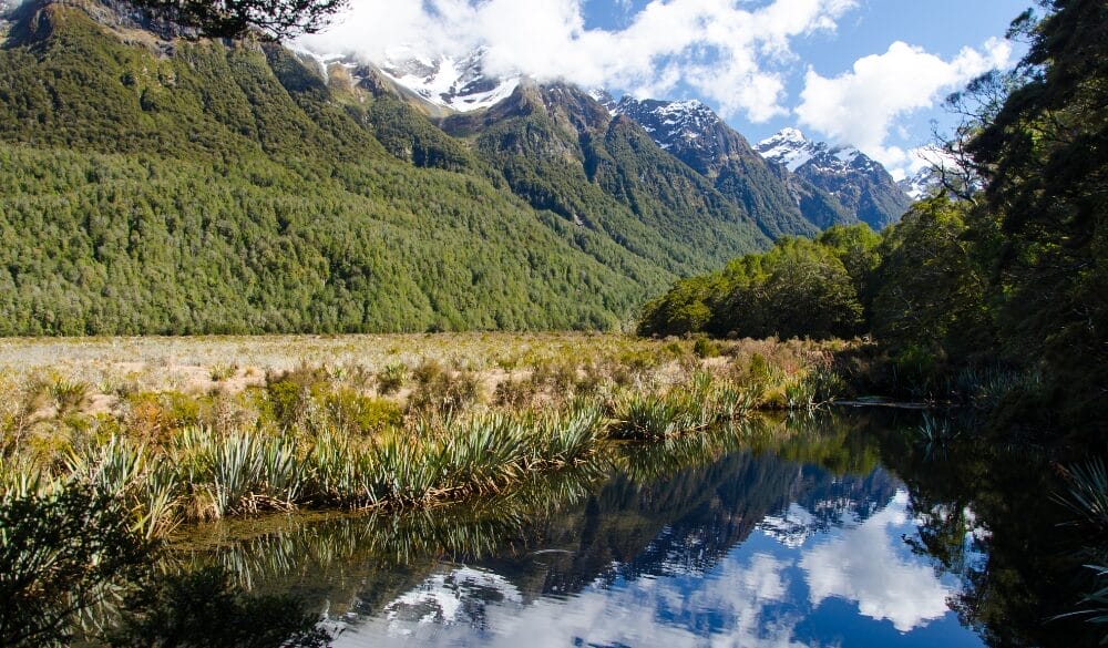 New Zealand được đánh giá là quốc gia yên bình và là một trong những nơi đáng sống nhất thế giới