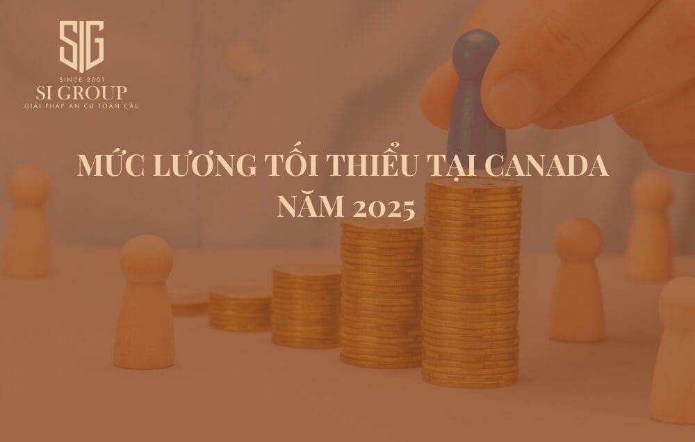 Khám phá mức lương tối thiểu Canada 2025